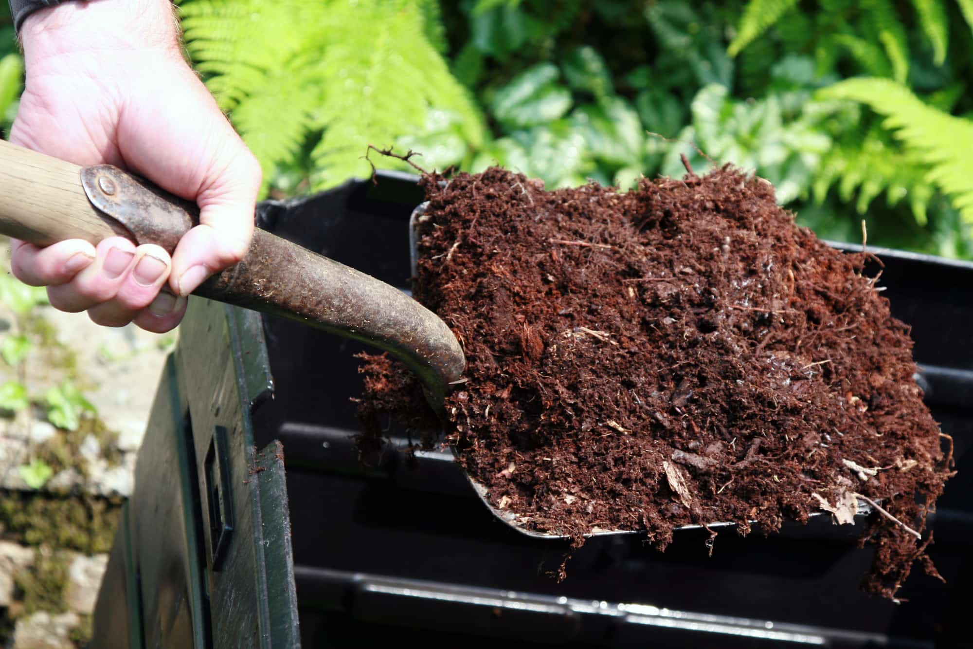 Shovel full of compost